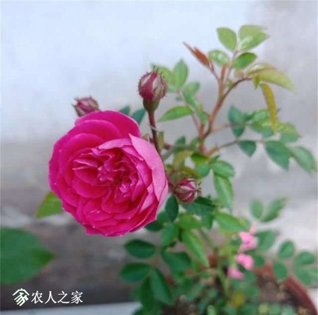 t01b0e04b866e9c74f3[1].jpg