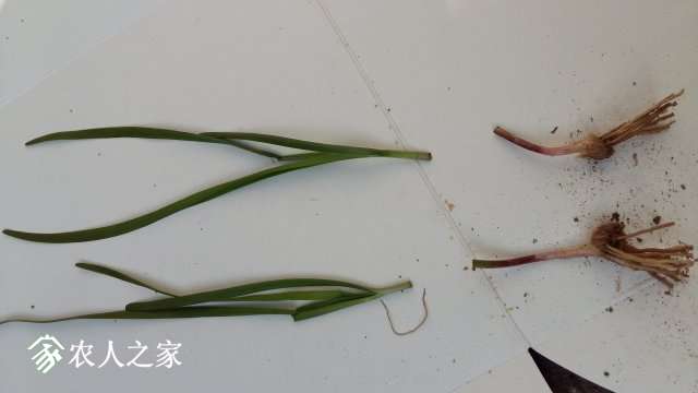 20170413_081337.jpg