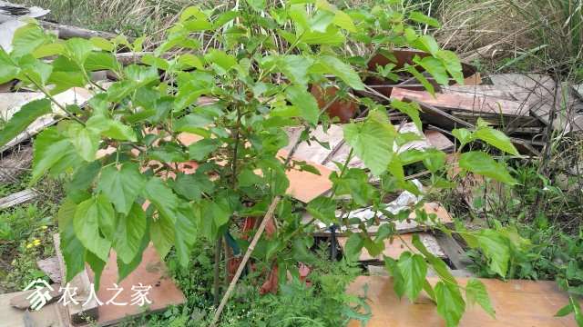 IMG_20190419_145853.jpg