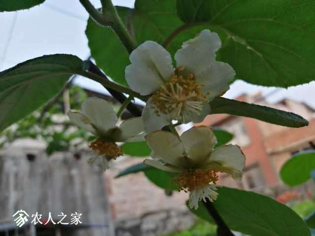 IMG_20190419_181215.jpg