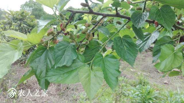 IMG_20190421_105419.jpg