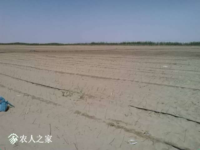 IMG_20190421_162351.jpg
