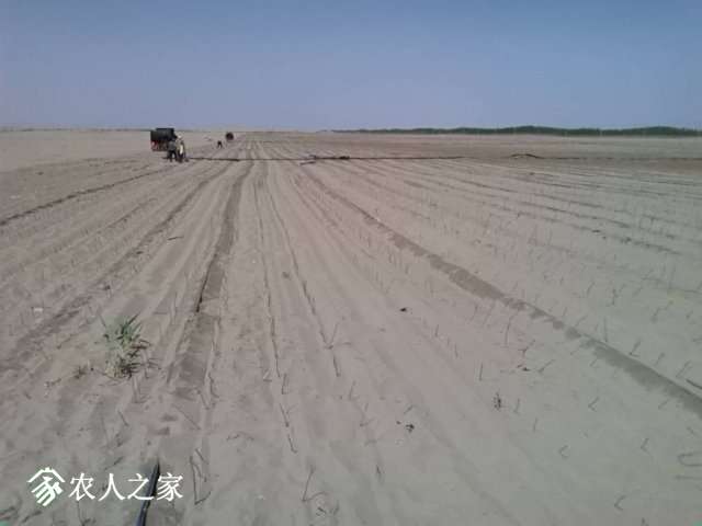 IMG_20190421_162400.jpg