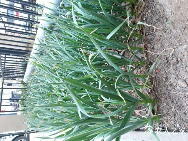 20150330_175041.jpg