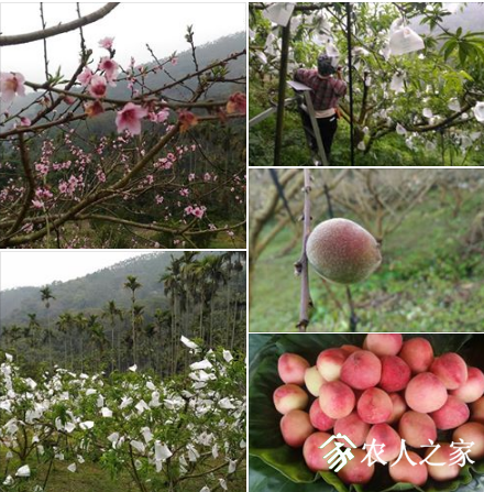 WeChat؈D_20190423160024.png