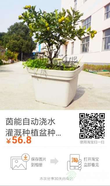 1556011195280.jpg