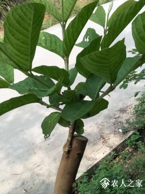 IMG20190425100522.jpg
