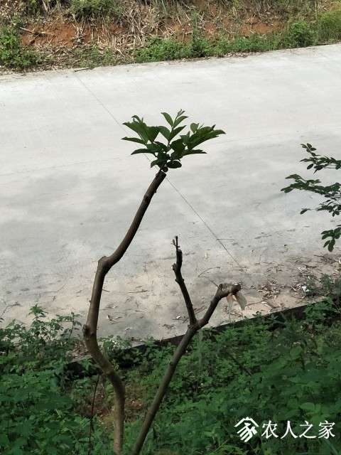 IMG20190425100608.jpg
