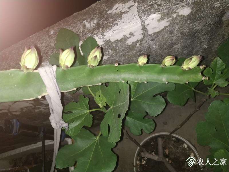IMG_20190426_192607.jpg