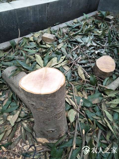 IMG20190427092955.jpg