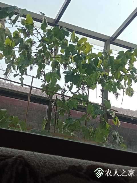 IMG20190503165003.jpg