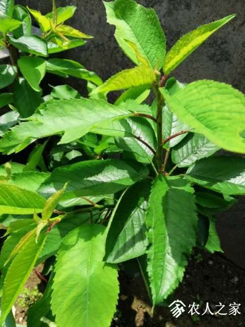 IMG_20190502_101722.jpg