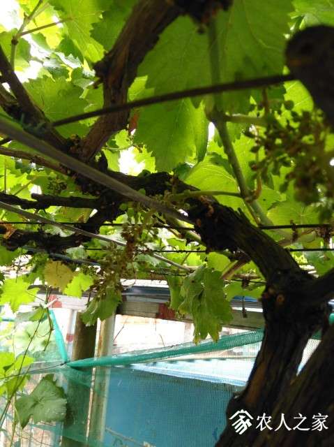 QQͼƬ20190505125841.jpg