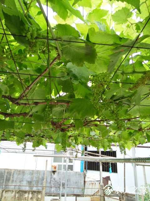 QQͼƬ20190505125912.jpg
