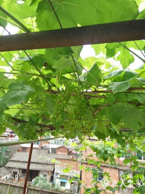 QQͼƬ20190505125932.jpg