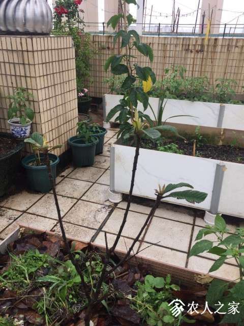 ΢��ͼƬ_20190505161029.jpg