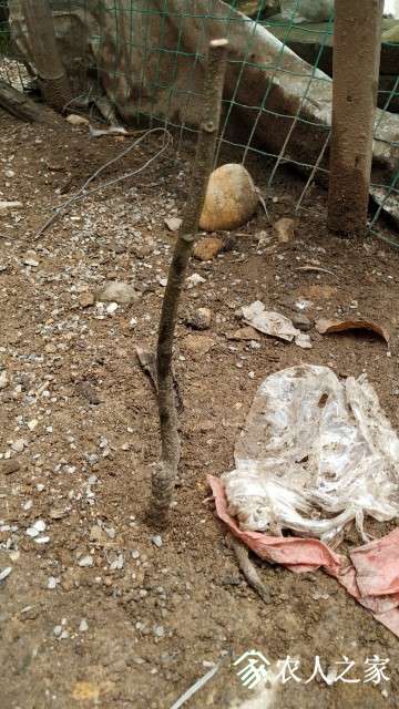 ΢ͼƬ_20190505205840.jpg