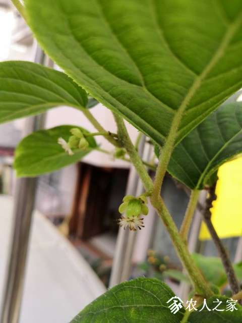 ΢ͼƬ_20190506090643.jpg