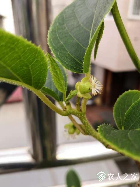 ΢ͼƬ_20190506090633.jpg