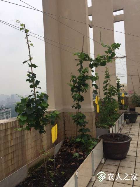 ΢ͼƬ_20190506184807.jpg