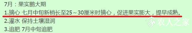 02.jpg