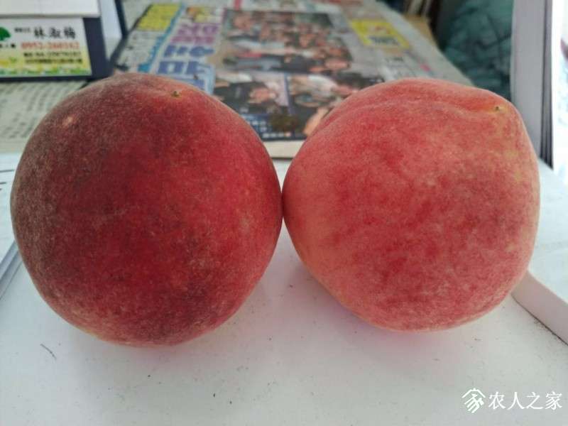 WeChat DƬ_20190509190204.jpg