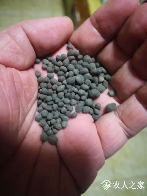 JDIM_1557399941826.jpg