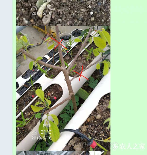 1557477126(1).png