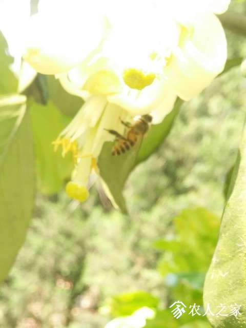 IMG_20190503_092504-1.jpg