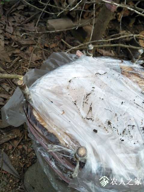 IMG20190512175636.jpg
