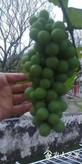 20190507_190219.jpg