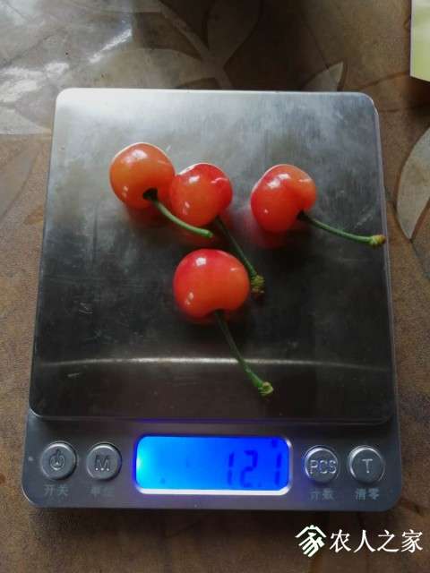 һֱΪҼҵ