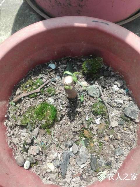 ΢ͼƬ_20190515152855.jpg