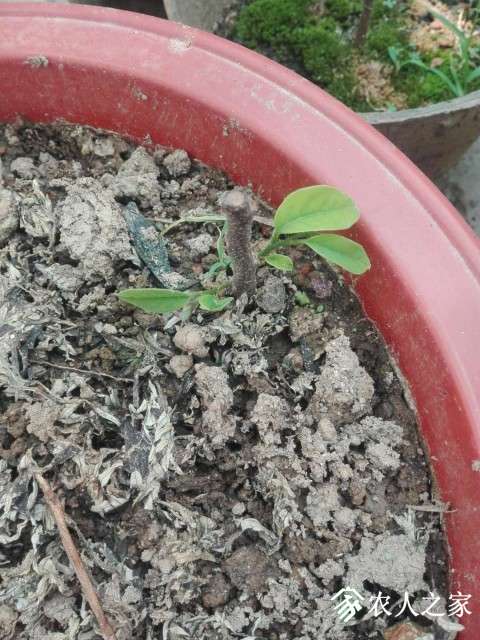 ΢ͼƬ_20190515153549.jpg