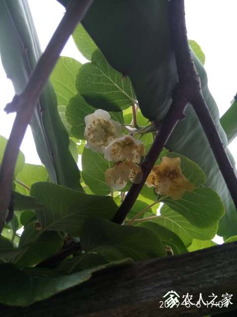 ΢ͼƬ_20190516100925.jpg