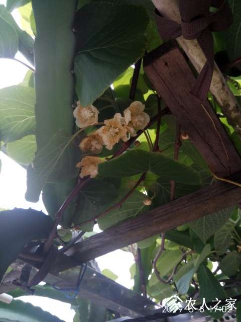 ΢ͼƬ_20190516100931.jpg