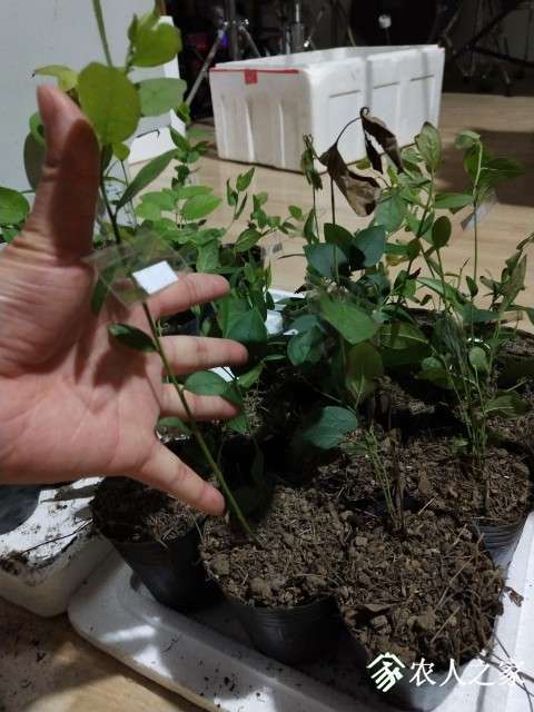 IMG_20190515_205431.jpg