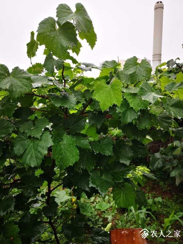 IMG_20190518_081942.jpg