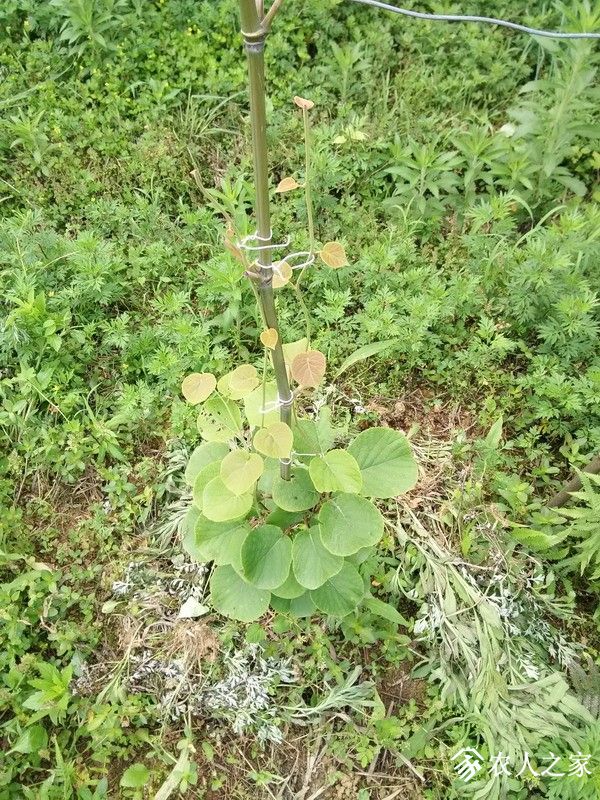 IMG_20190504_083949_СС.jpg