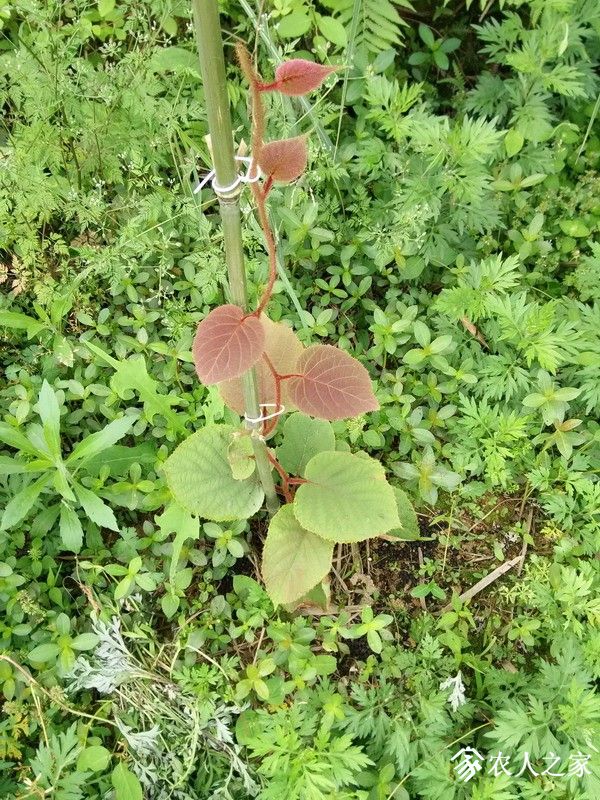IMG_20190504_084001_СС.jpg