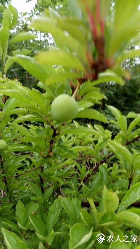 IMG20190427085936.jpg