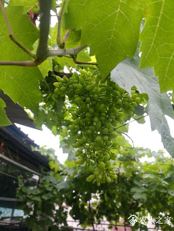 0519191547a_HDR.jpg