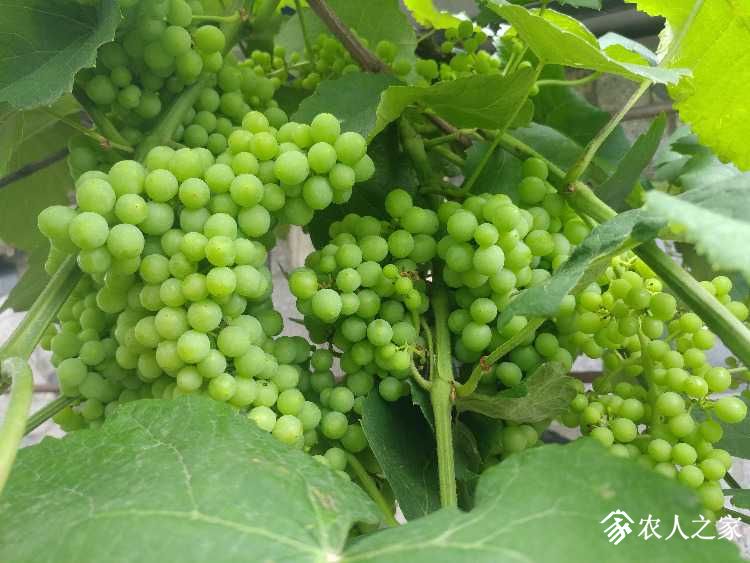 0519191550_HDR.jpg
