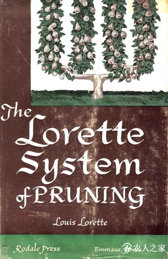 1a-French-Intensive-Gardening_The-Lorette-System-Of-Pruning-Louis-Lorette_out-of.jpg