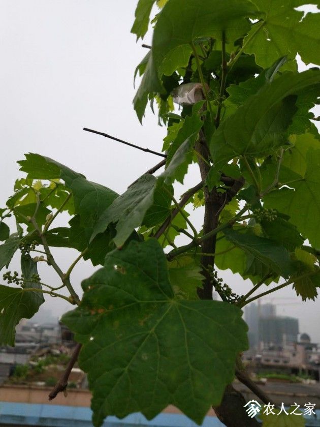 ΢ͼƬ_20190520162738.jpg