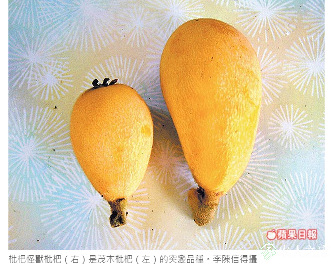 WeChat؈D_20190521125954.png