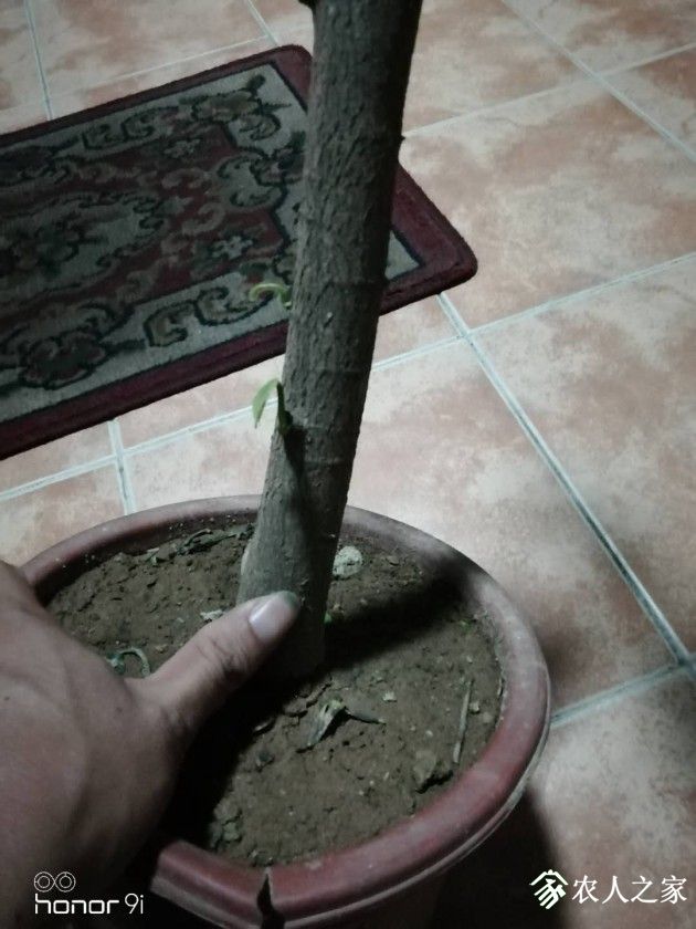 ΢ͼƬ_20190521163723.jpg