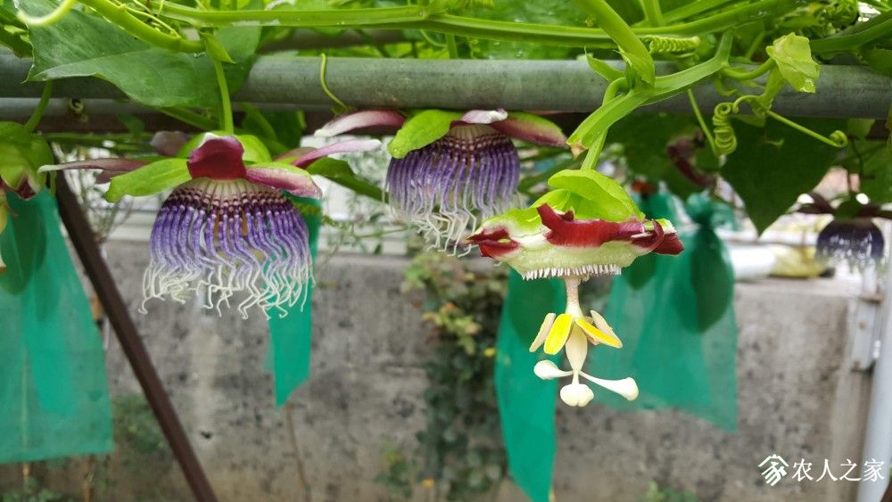 20190521_071852.jpg