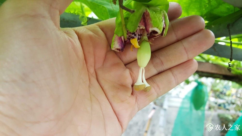 20190521_073110.jpg