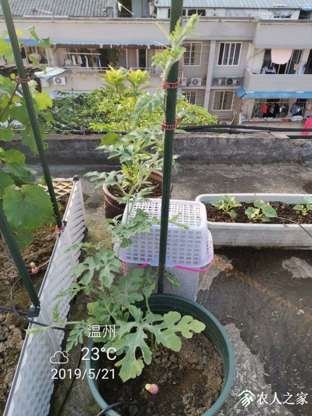 ΢ͼƬ_20190522075742.jpg
